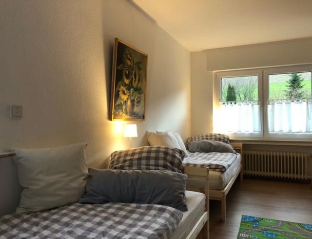 Ferienwohnung Paeusken Im Hochsauerland- E- Bike Und Auto Laden Moeglich เบสต์วิก ภายนอก รูปภาพ